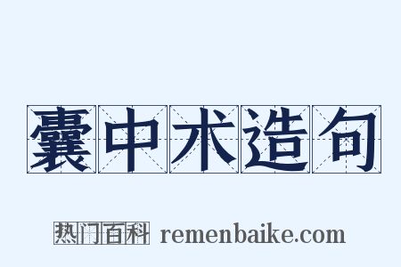 囊中术造句是什么意思的图片